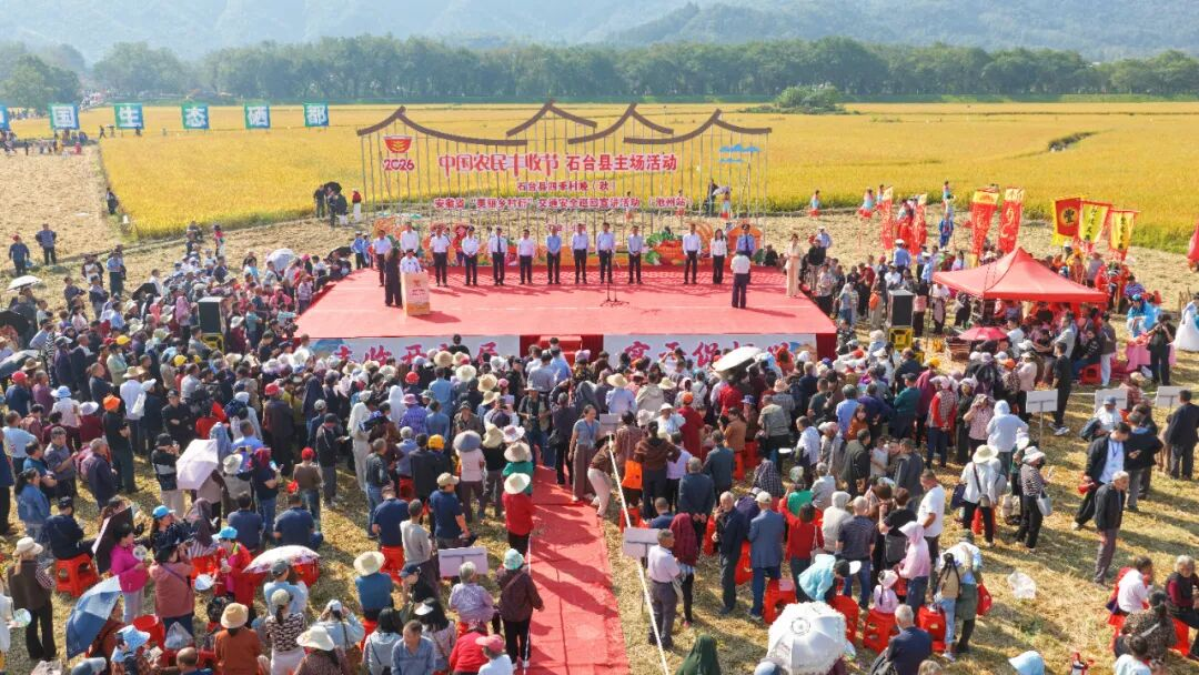安徽石台丰收节：农耕文化在稻浪间“活”起来