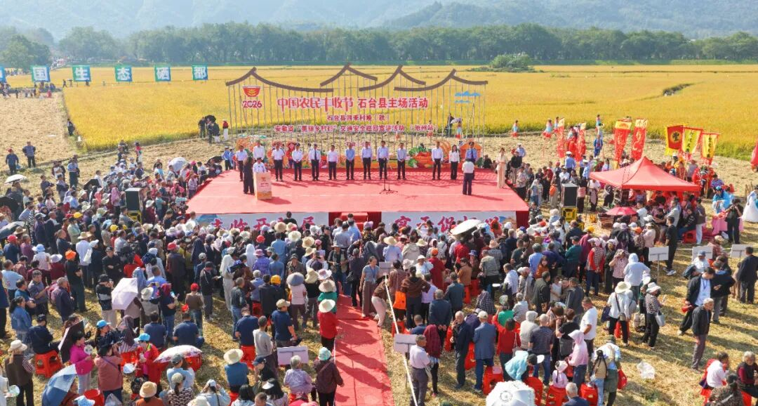 安徽石台丰收节:农耕文化在稻浪间“活”起来